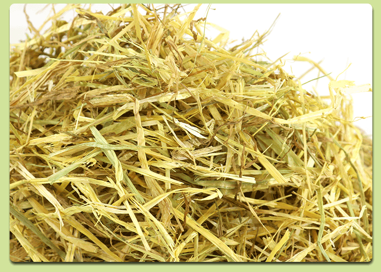 2019年新澳洲黄金燕麦草宠物牧草4.5/斤1包28kg起批一区多省包邮