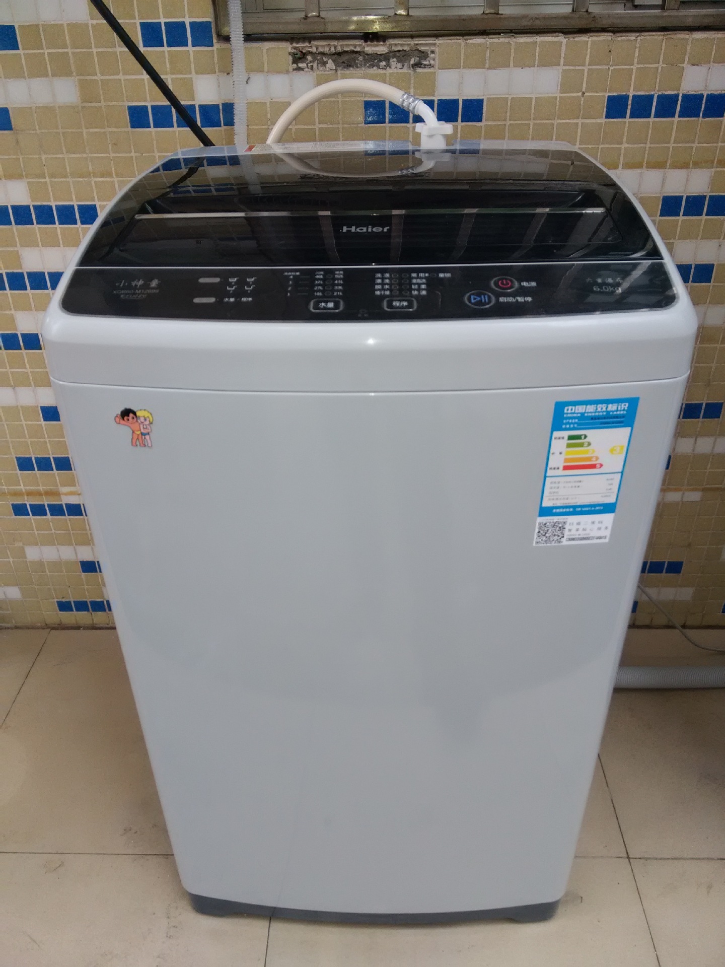 haier/海尔b65688z21 6.5kg大容量商用投币刷卡全自动洗衣机包邮