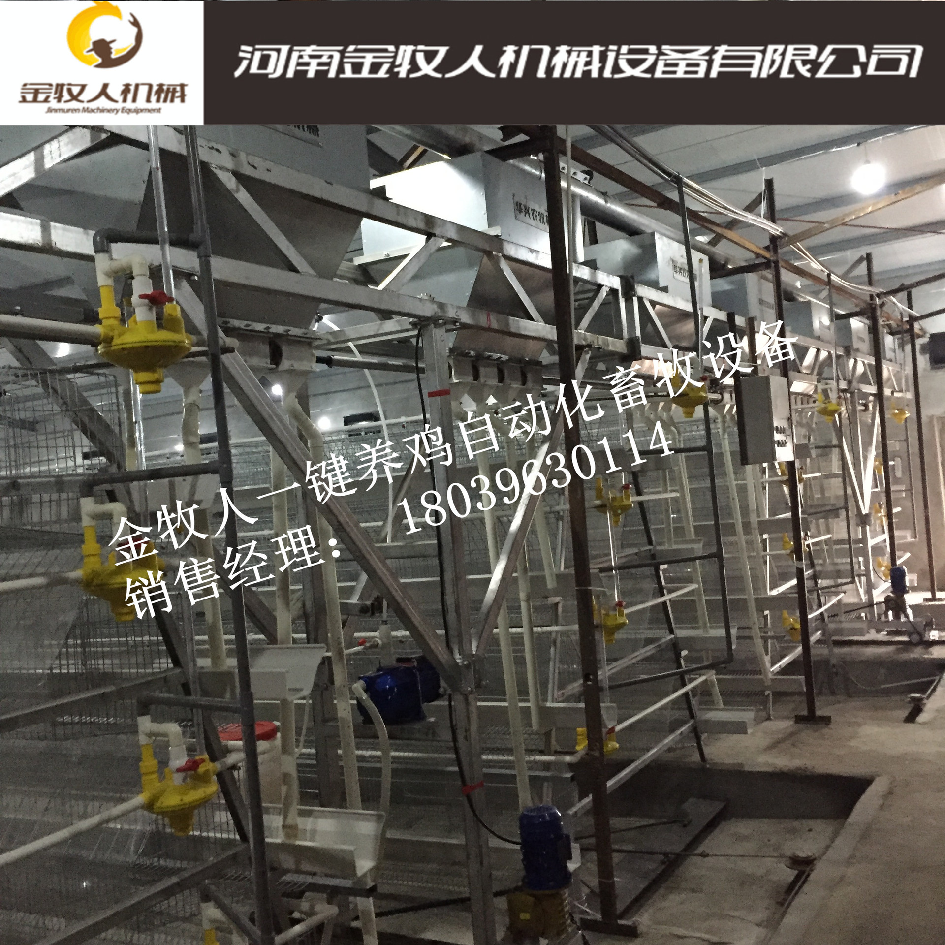 河南厂家直销全自动养鸡喂料机，养殖自动投料机 养鸡龙门上料机