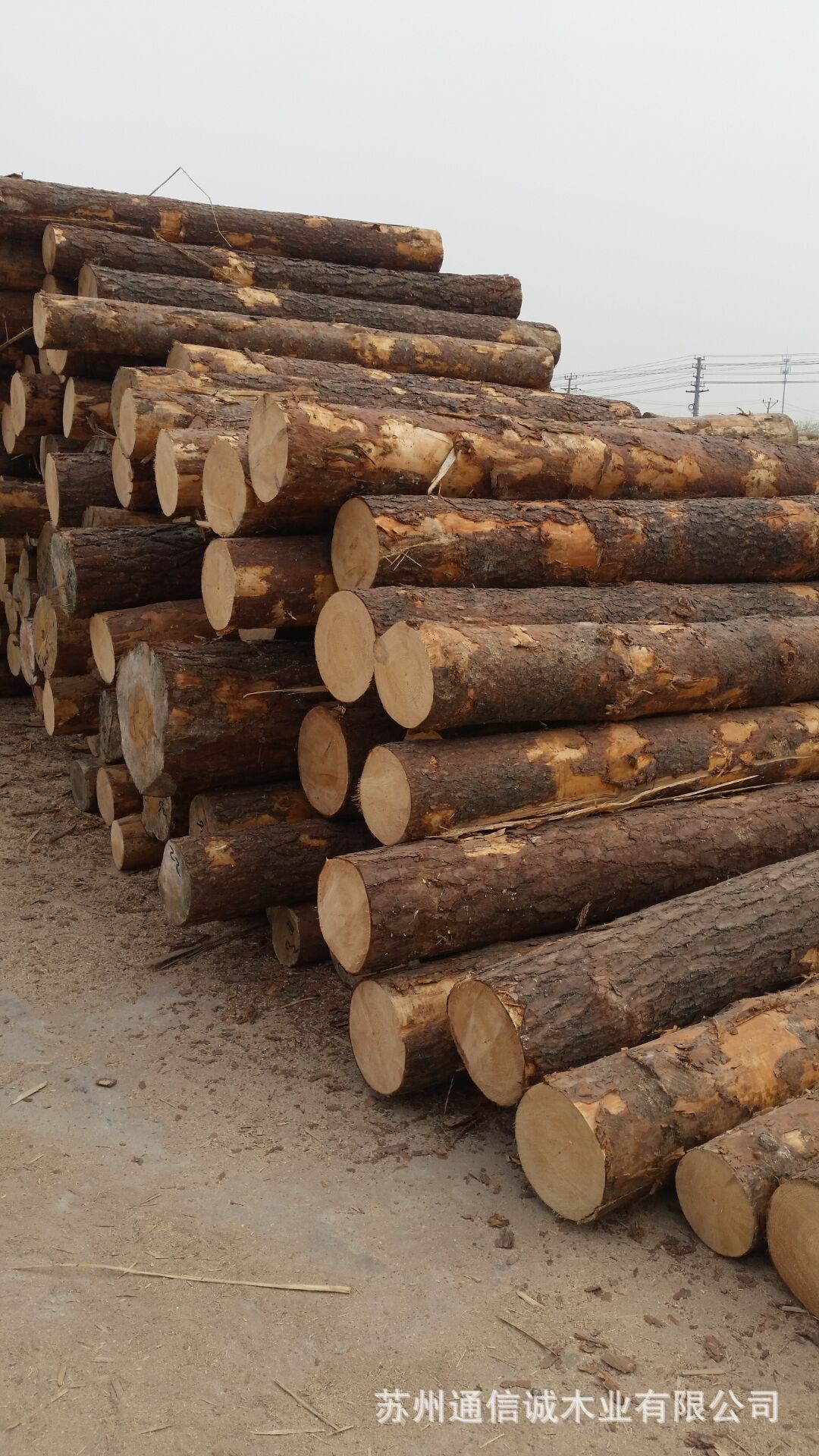 澳松木方 加工厂 按需加工澳松木方 各尺寸工厂订做 特.