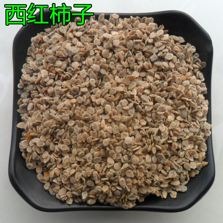 中药材 西红柿种子 西红柿子 西红柿籽 番茄子 番茄籽
