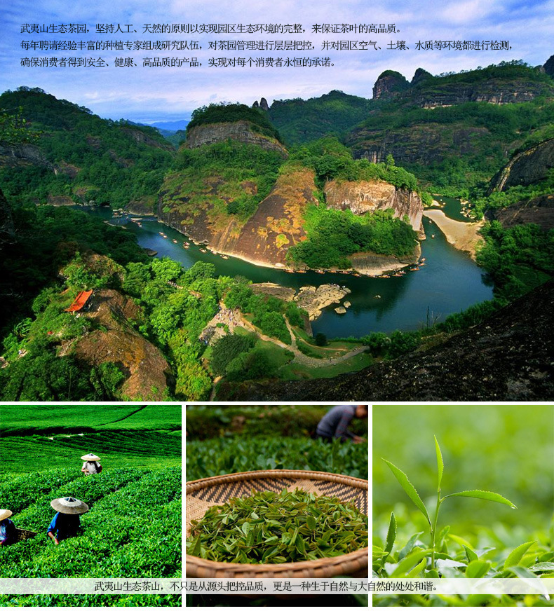 2018武夷山红茶 正山小种茶叶 散装批发 厂家批发 办公用茶
