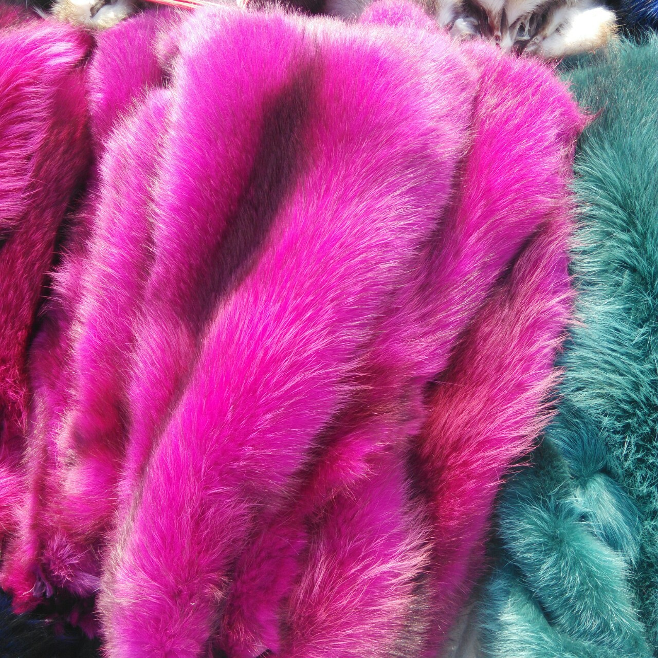 染色貉子皮 白貉子皮染色毛领毛条原料皮草面料材料鞋材流行颜色