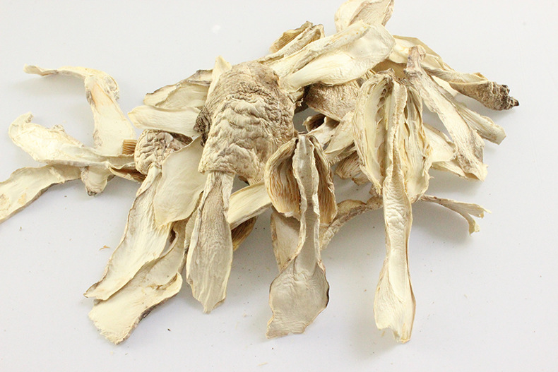 福建古田特级干鸡腿菇 深山特产食用菌袋装农副产品干货批发