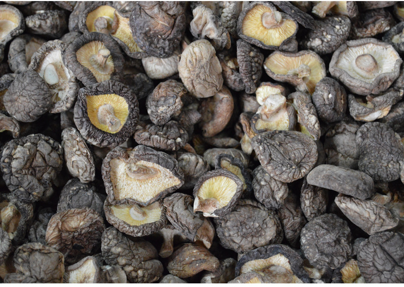 陕西特产菌菇种包 500g装金钱菇 农产品特产】价格,批发,供应商厂家