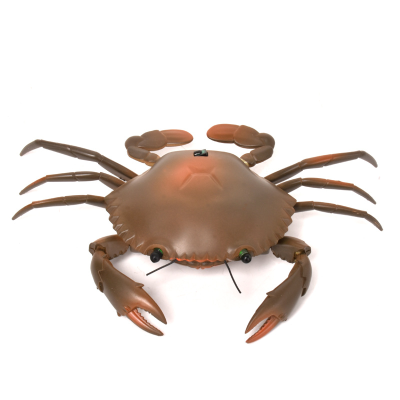 新奇特9995遥控螃蟹 仿真海洋动物模型 电动儿童早教模型玩具