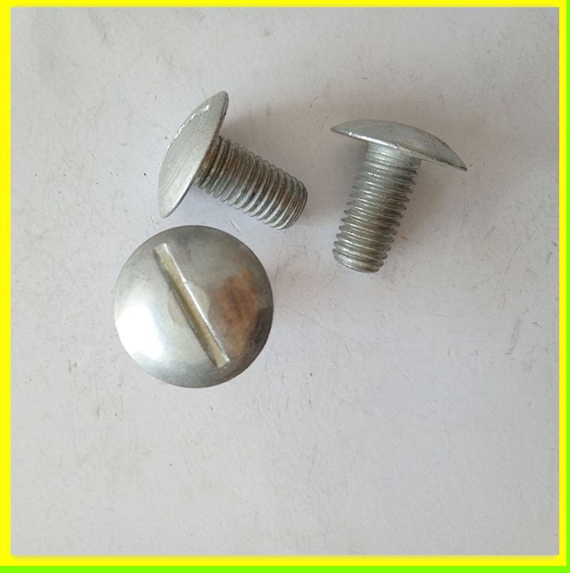 定制异型螺钉 大直径元帽螺栓 圆帽一字螺丝m12*25