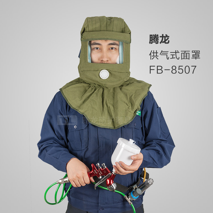 腾龙供气式全面罩fb-8507/帆布防毒/防尘/喷漆/装修/喷砂面罩