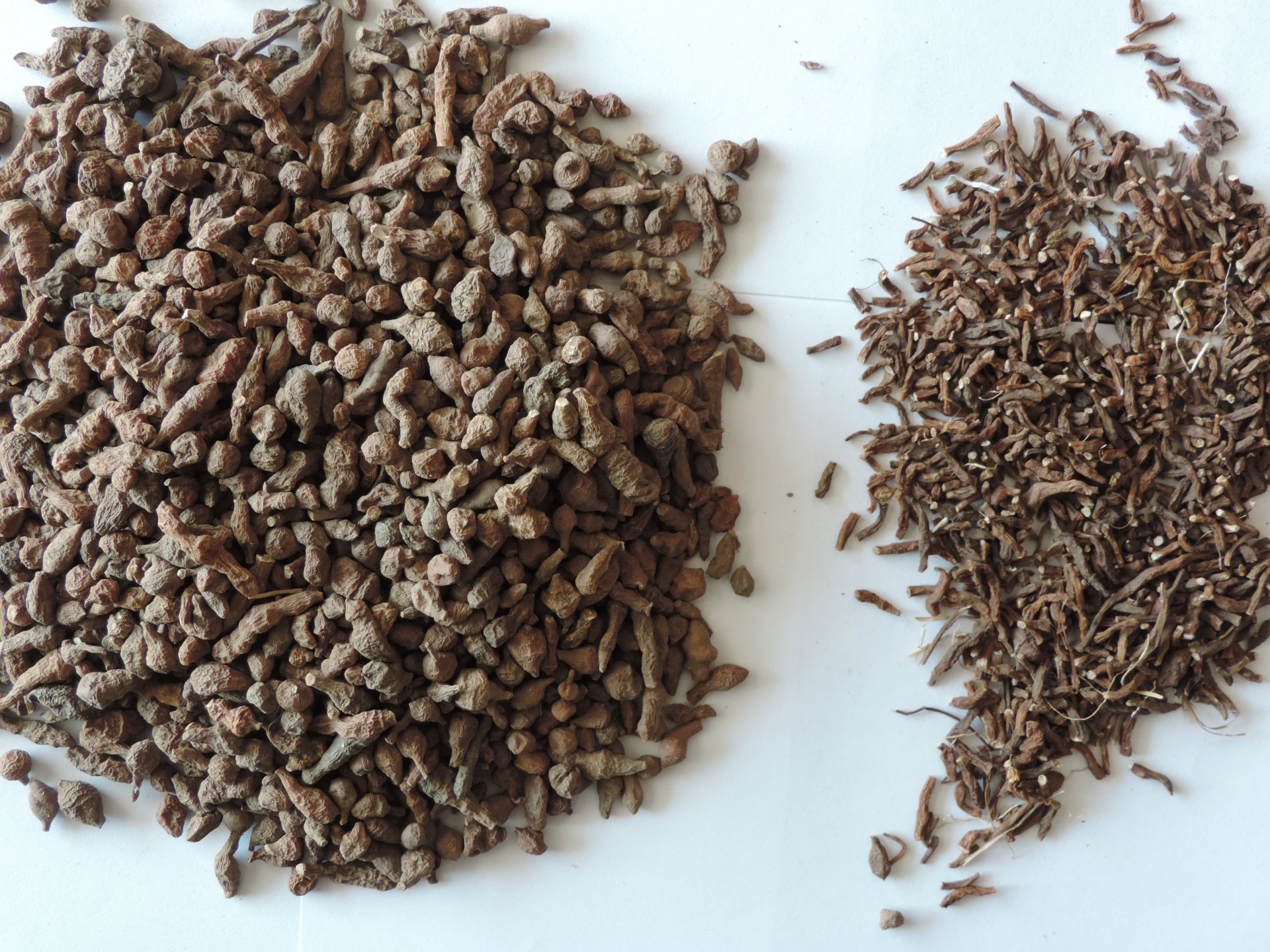 包邮 青海玉树野生蕨麻500g 厥麻 精选大果 人参果 熬.