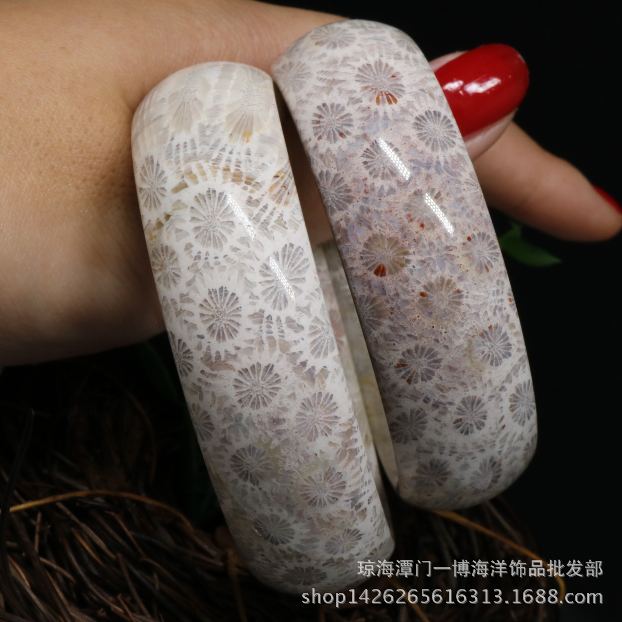 批发天然菊花石手镯高档珊瑚玉手镯多彩珊瑚虫化石内径5262mm