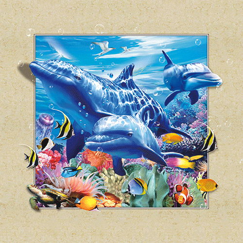 5d画栩栩如生    呼之欲出商品描述尺寸40*40规格40*40是否进口否题材