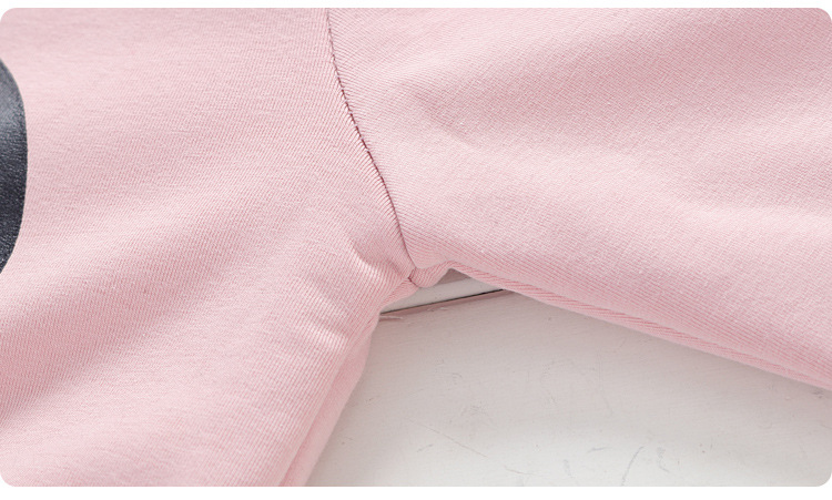 女童卫衣套装儿童宝宝秋冬季婴儿童装潮1-2-3-4岁5儿童运动外套装