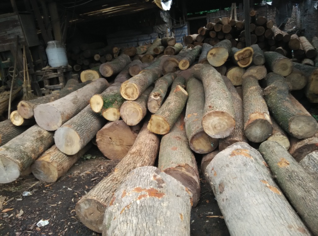 四川香樟木板木料定制小叶香樟各规格木方木条老香樟加工板料