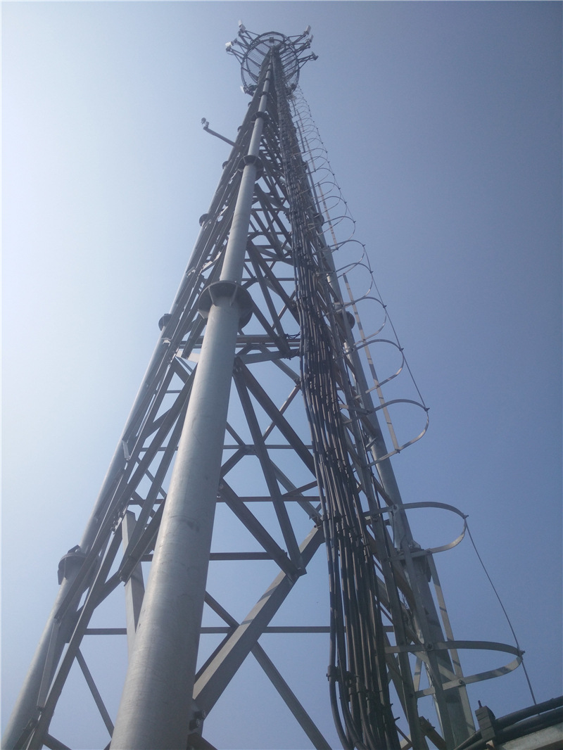 主营:通信塔,避雷塔,美化塔,了望塔,拉线塔,仿生通信塔,升降塔,一体化