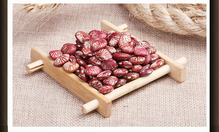 云南斑马豆荷包豆大花芸豆有机大花豆五谷杂粮批发