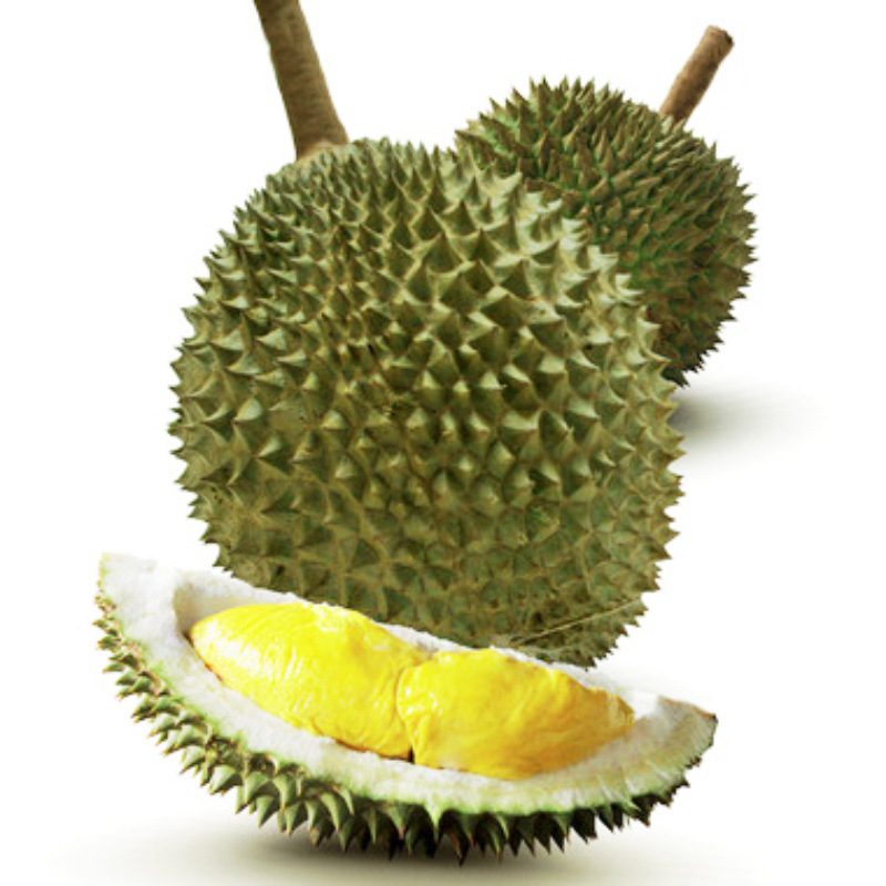 越南猫山王榴莲 产地大量批发供应 基地直销越南猫山王榴莲