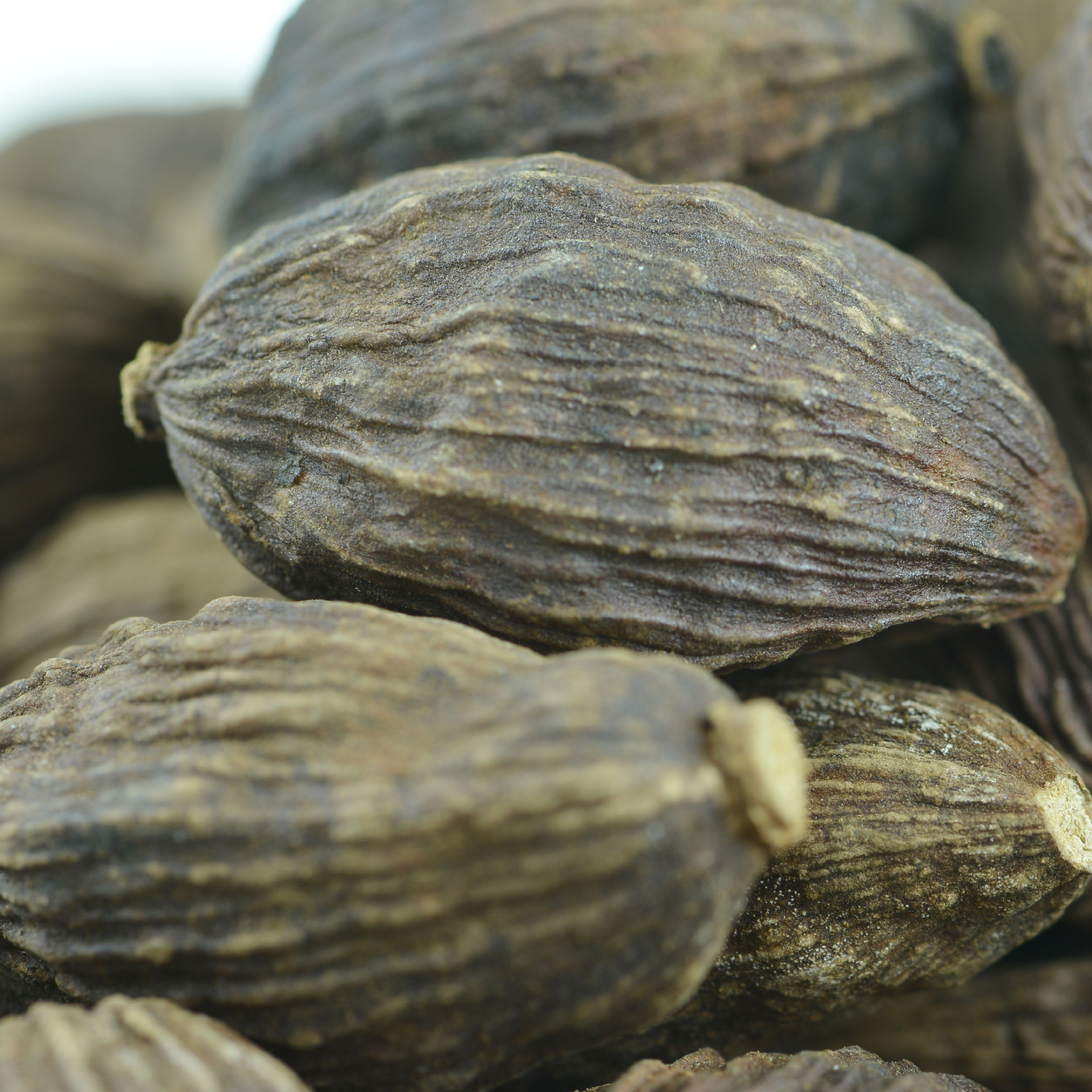 云南草果仁 散装 中药 香料草果 肉食中西餐火锅配料专用调料批发