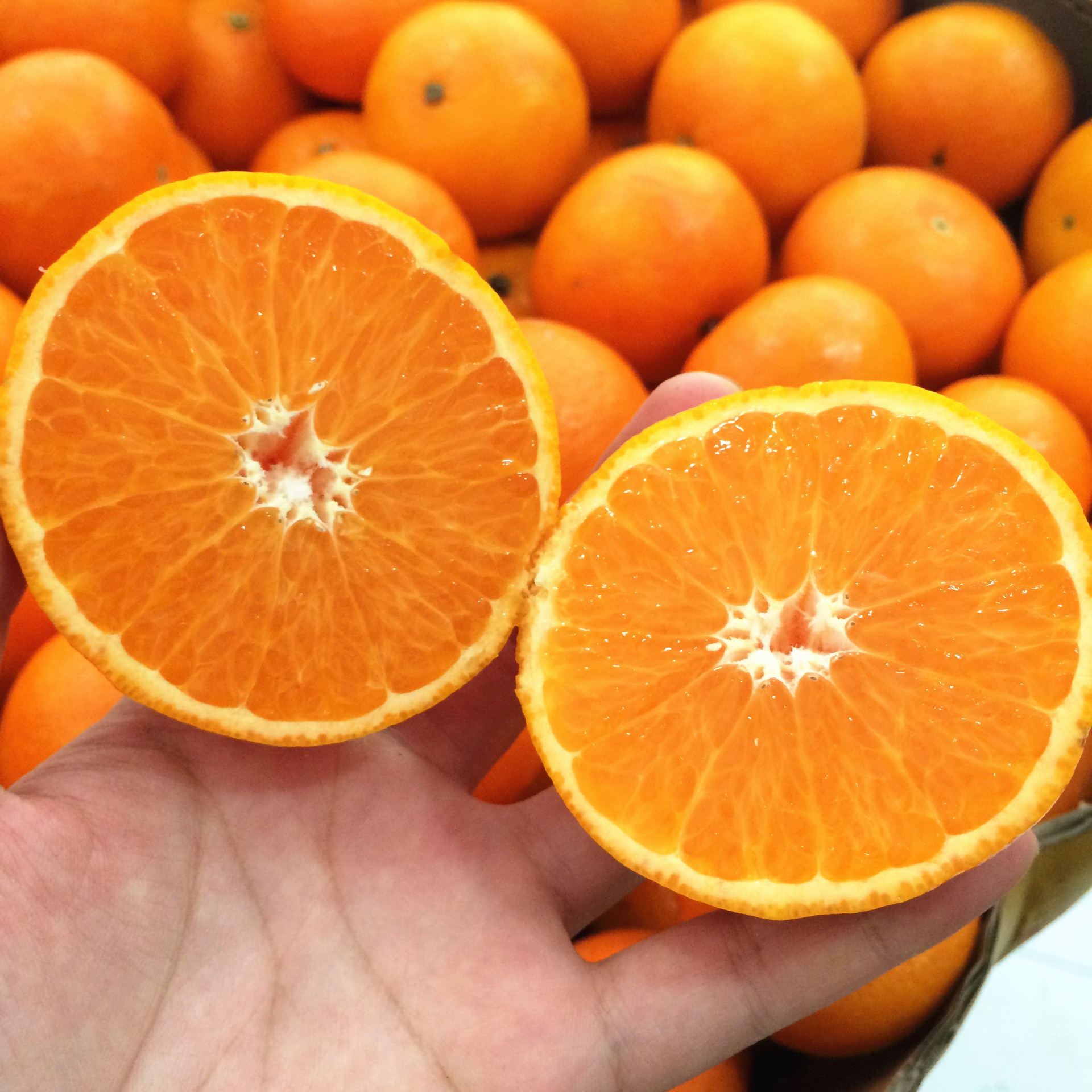 正宗新鲜临海涌泉无核蜜桔早熟宫川非寻乌蜜桔黄岩蜜橘 特级10斤