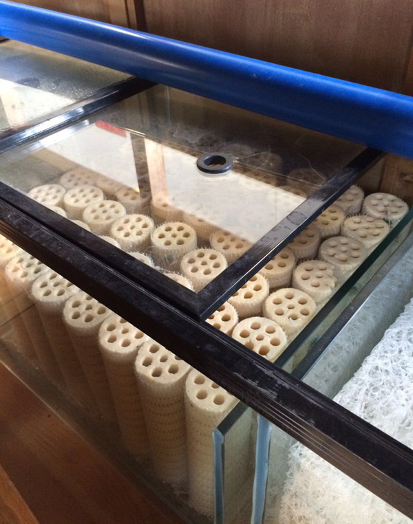 鱼缸到了,底滤原来是3格的,求住3格的怎么放