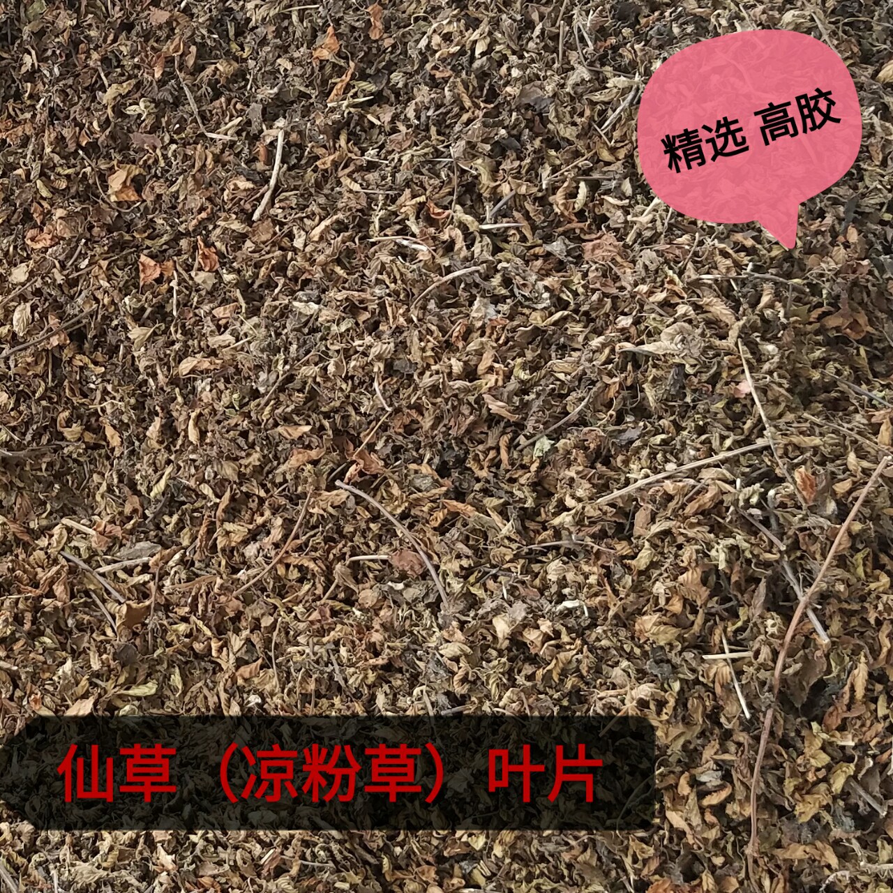 武平仙草叶片 凉粉草叶片 高胶 无土 做冻1:70以上 基地批发1kg