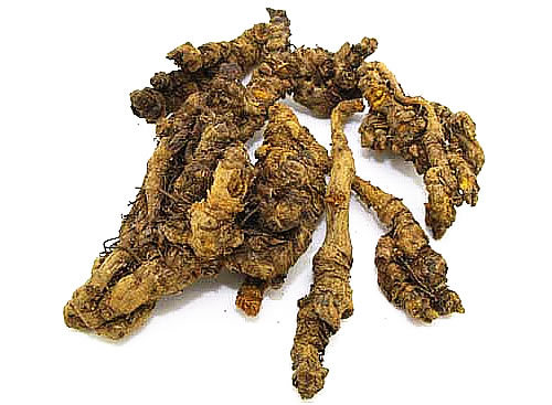 中药材批发 黄连 川连 姜连 川黄连 姜黄连 大货供应