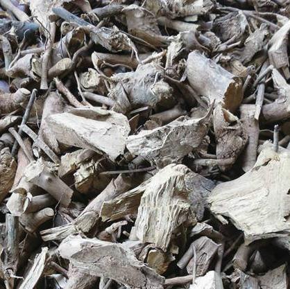 栀子根/ 黄枝根/三支根/山枝根 黄栀根 山栀子根 中药材批发宏昊