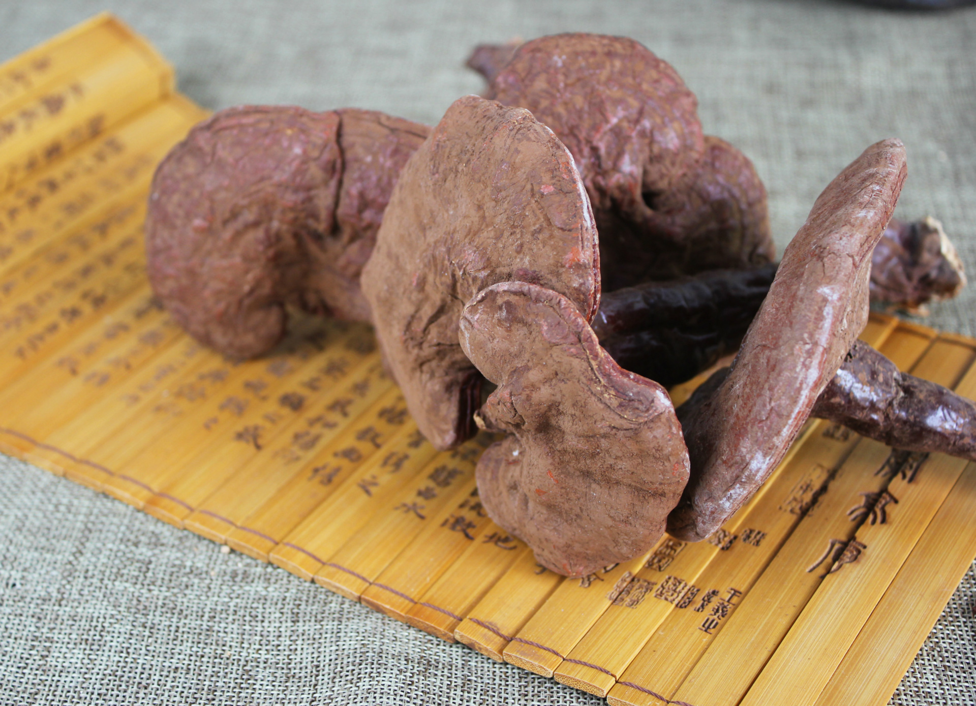 批发红灵芝整枝