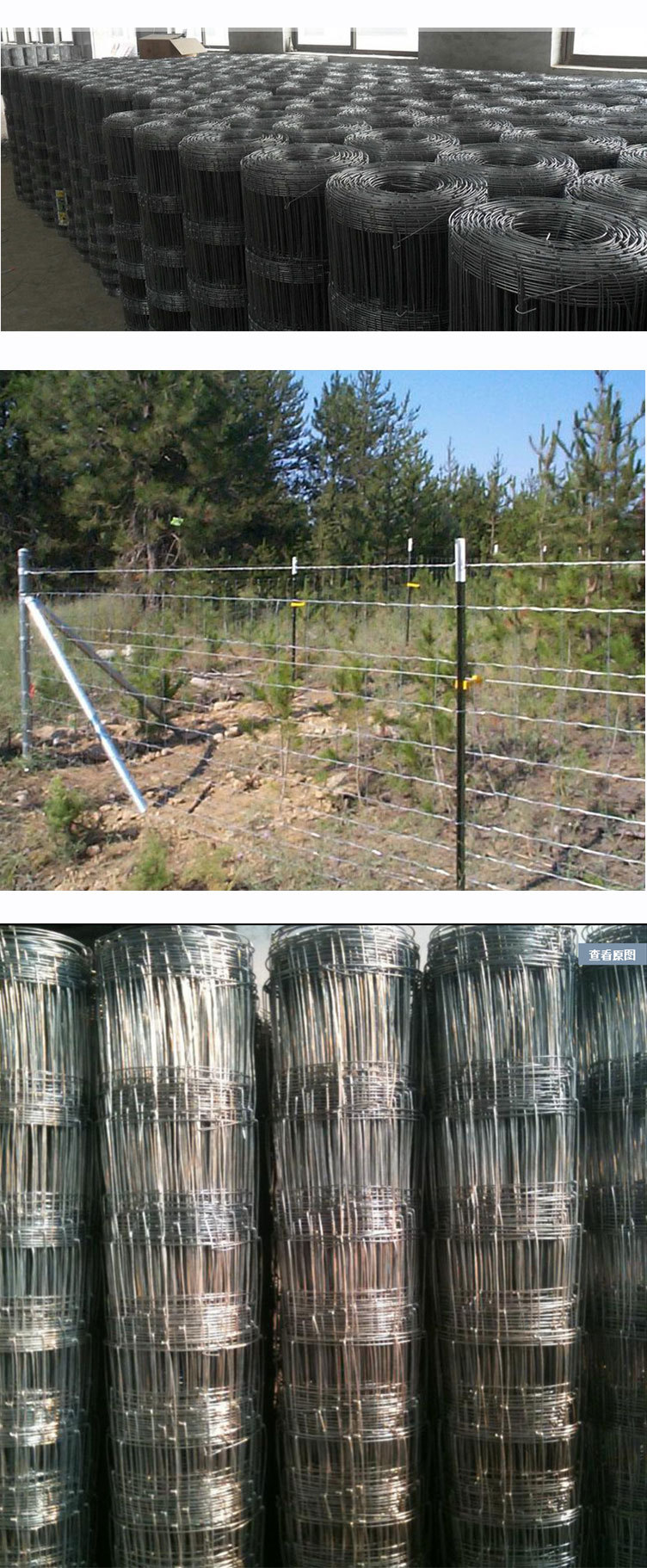 供应镀锌铁丝牛栏网 厂家直销草原防护网养殖围栏牛栏网铁丝网