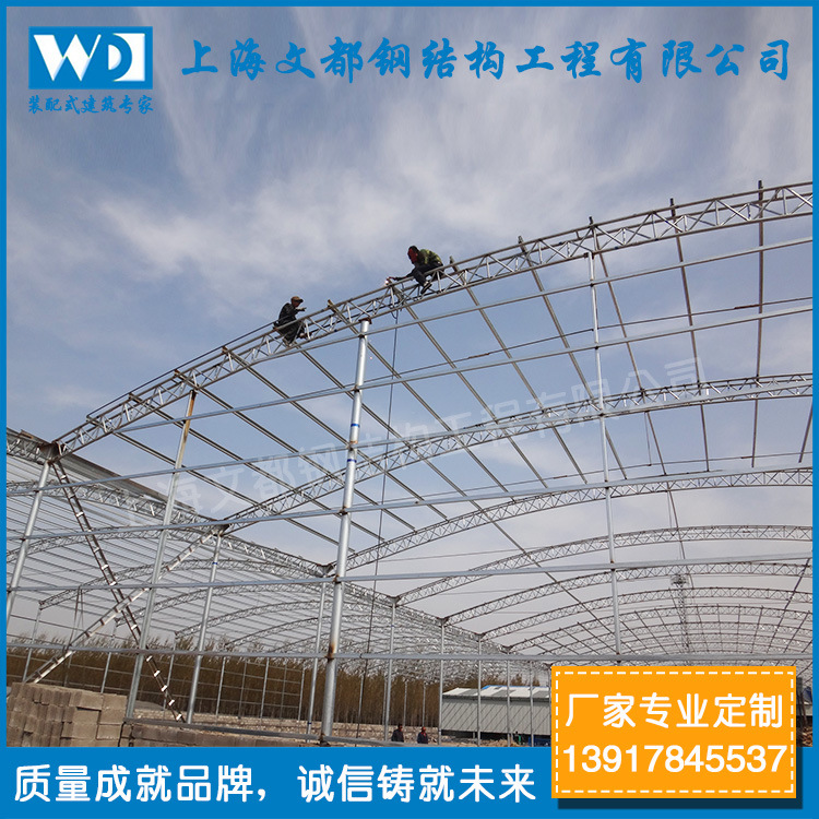 专业制作安装 彩钢瓦天棚搭建 菜市场大棚 拱形天棚 采光天棚
