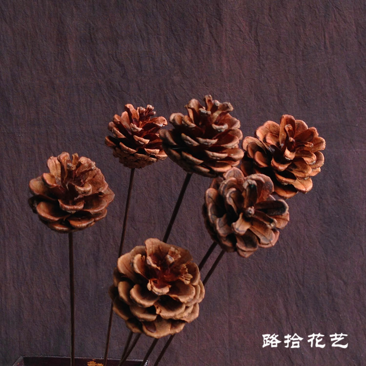 家居装饰禅意艺术拍摄道具天然手工diy松球摆件原生态松果干花