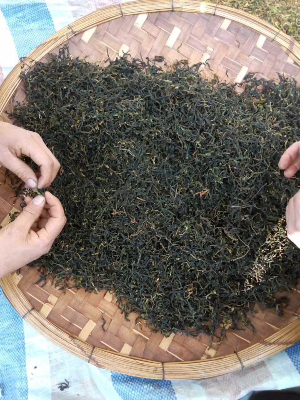 野生茶 农家自制茶叶 纯手工 特价