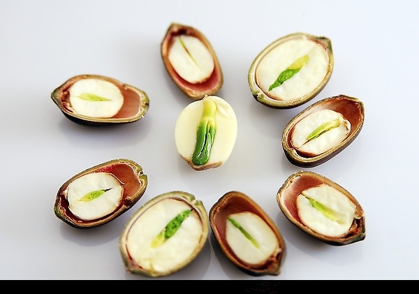 莲心粉 莲子心纯粉 莲薏浓缩粉