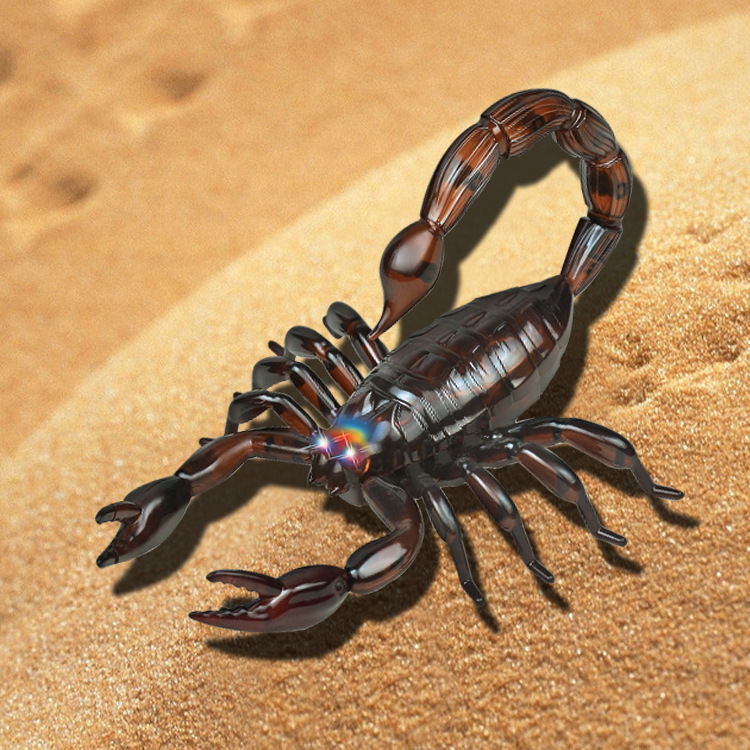 新奇特仿真红外线遥控蝎子 科普动物模型儿童益智早教玩具ly 9992