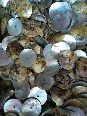 diy饰品配件25mm贝壳中孔/铜钱马氏贝手工材料批发