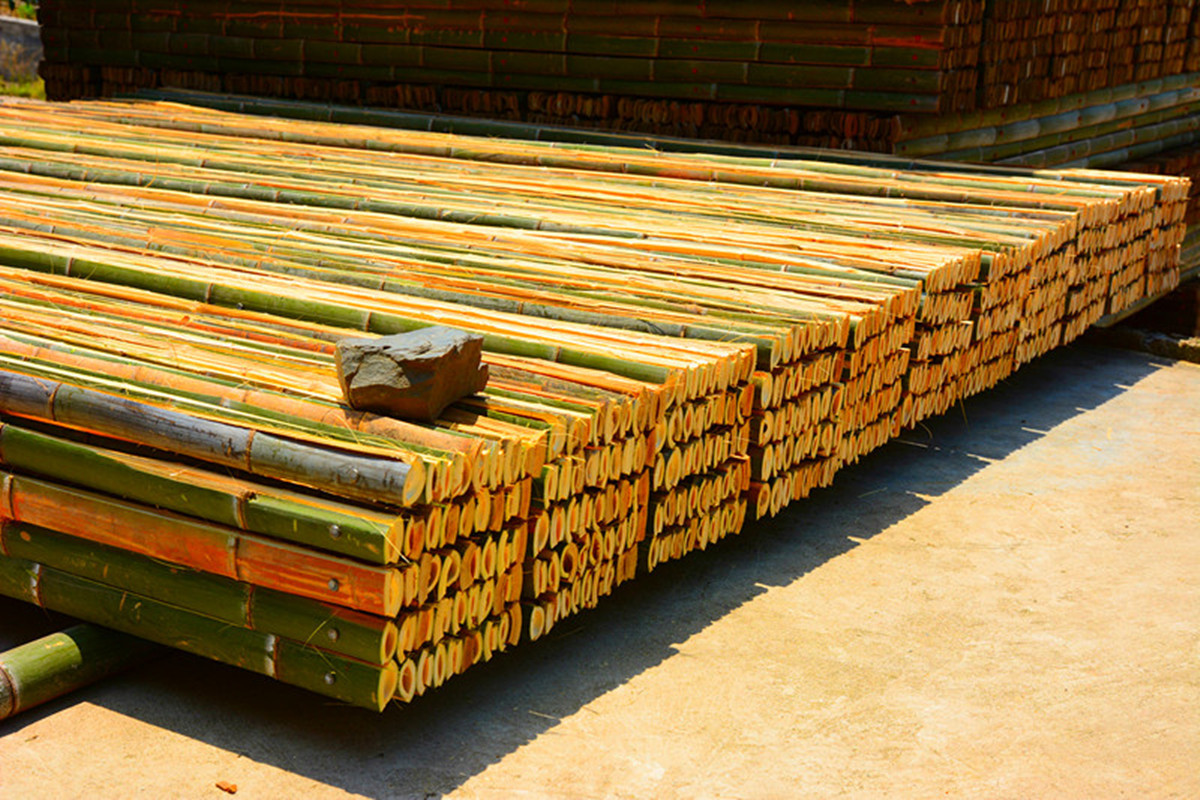 广东竹跳板厂价直销