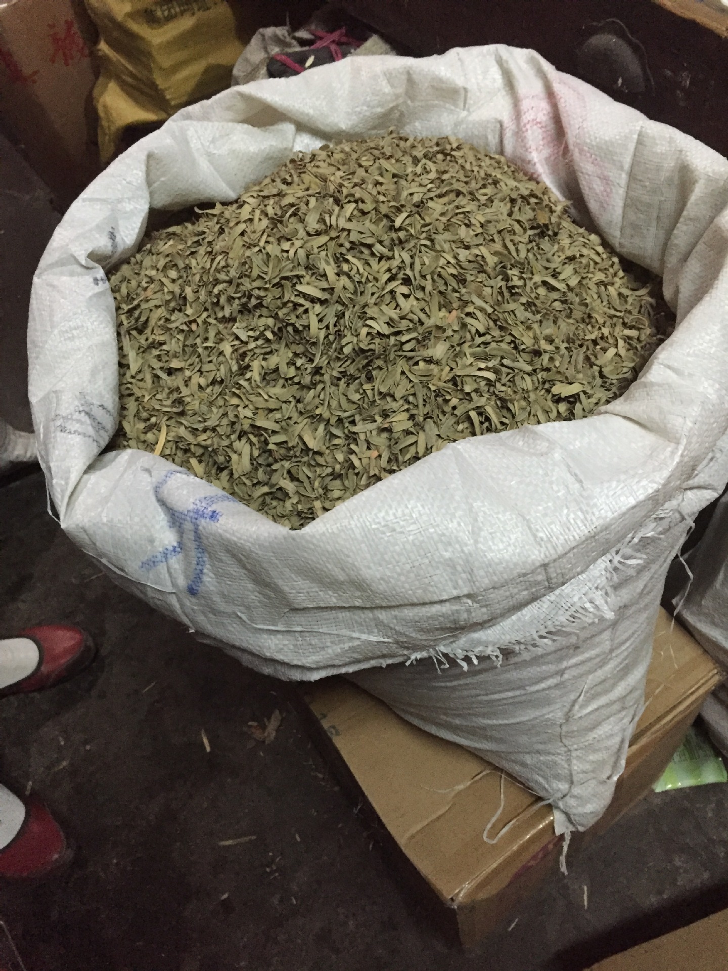 野生油柑叶余甘子油甘果叶子牛甘叶天然枕头芯填充物新鲜散装精选