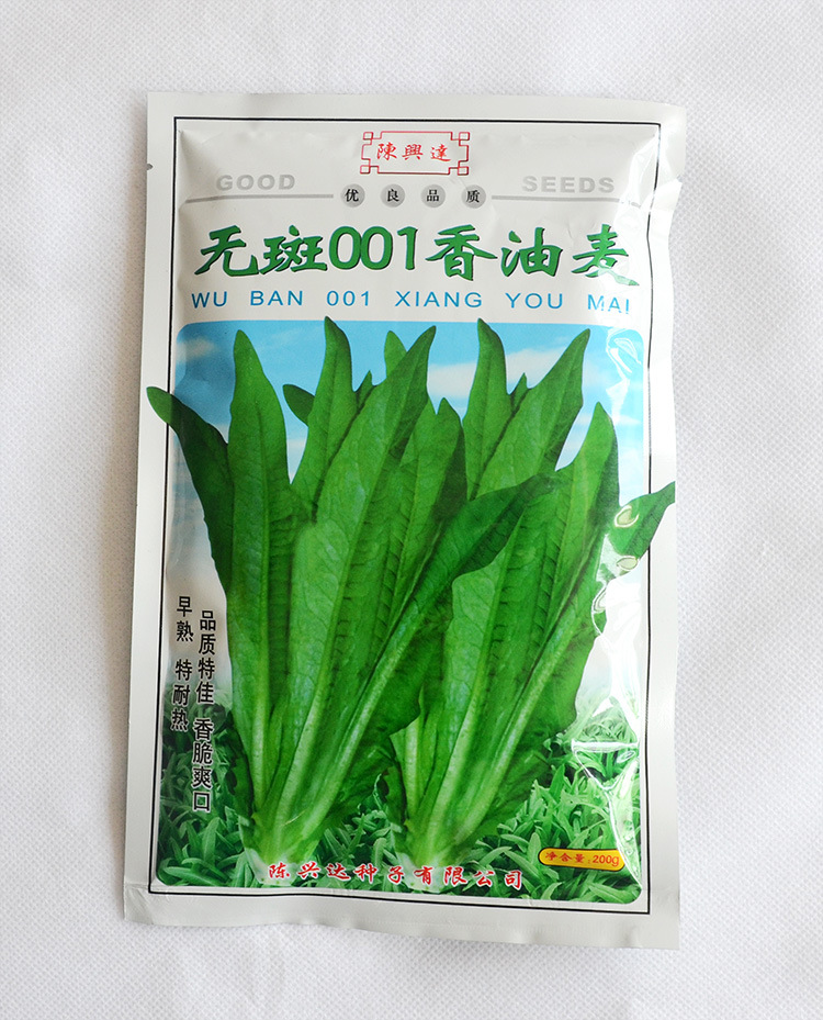 种子公司批发油麦菜种子陈兴达无斑001香油麦香脆爽口油麦种子