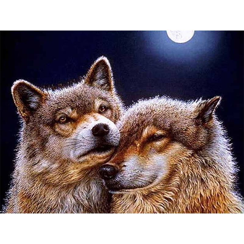 8尖顶圆满钻绣 客厅装饰 新款图片厂家定做钻石画diy两只狼2.