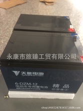 天能电动车电池迷你电动车 代步车铅酸蓄电池24V12ah(2只装）电池