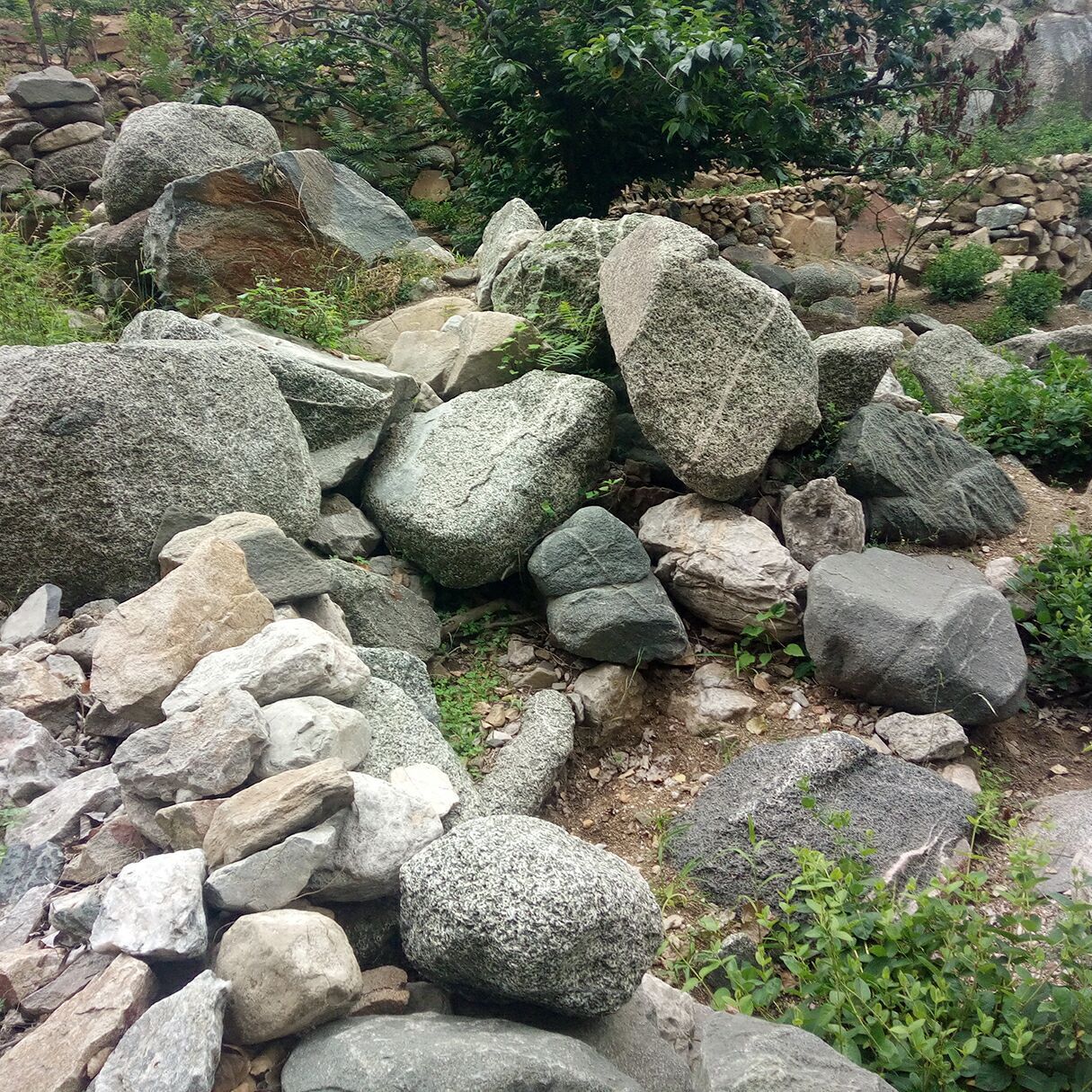 商丘市梁园区鹅卵石 大卵石 自然河石 河卵石开采基地直销