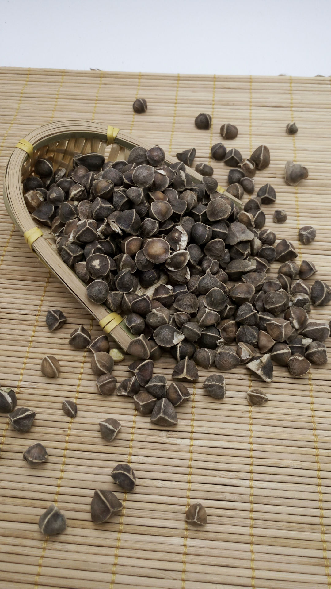 供应非洲传统滋补品印度辣木籽茶原型态辣木籽种子散装厂家批发