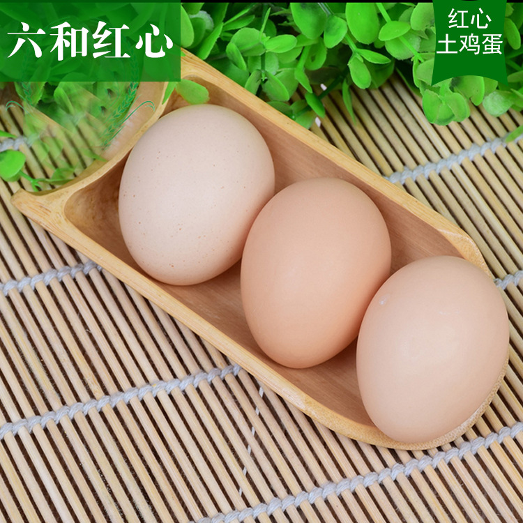 六和红心天然生态农场正宗散养红心土鸡蛋新店特惠60枚红心鸡蛋