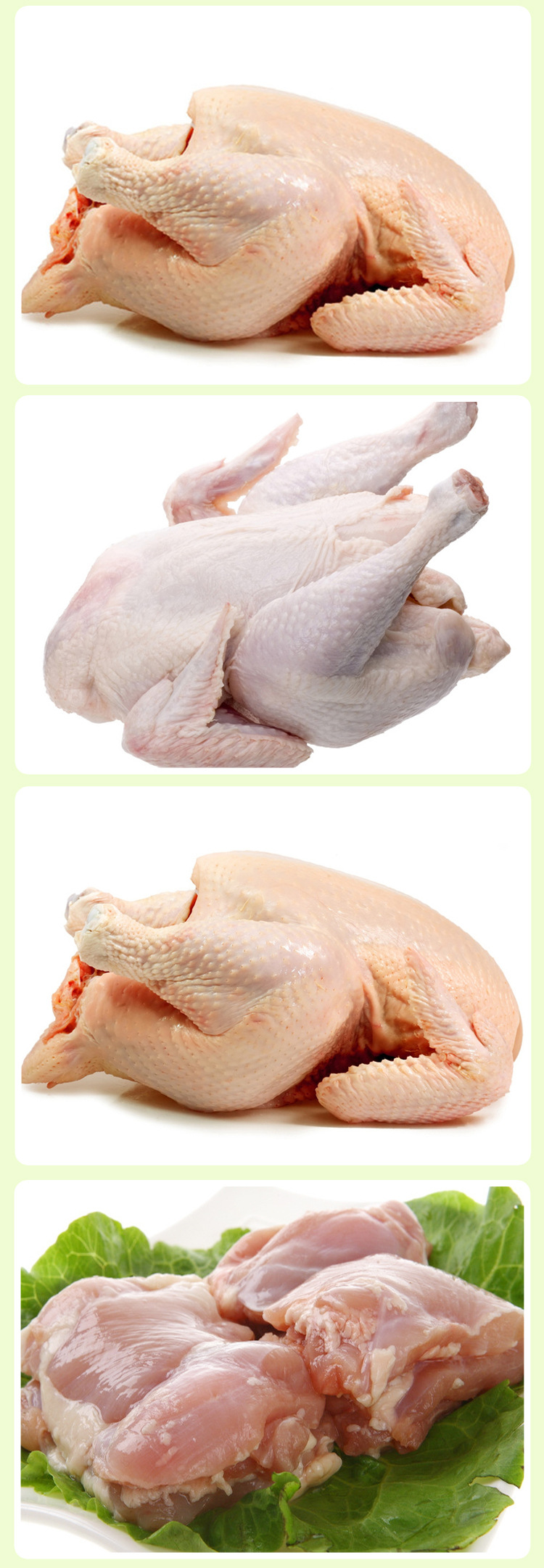 1kg肉鸡净膛 农家老母鸡 散养农村土鸡 鸡肉 新鲜肉鸡美味佳肴