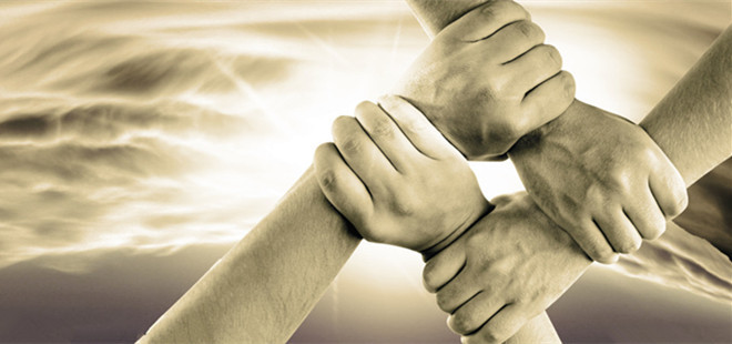 合作共赢,互利共生!