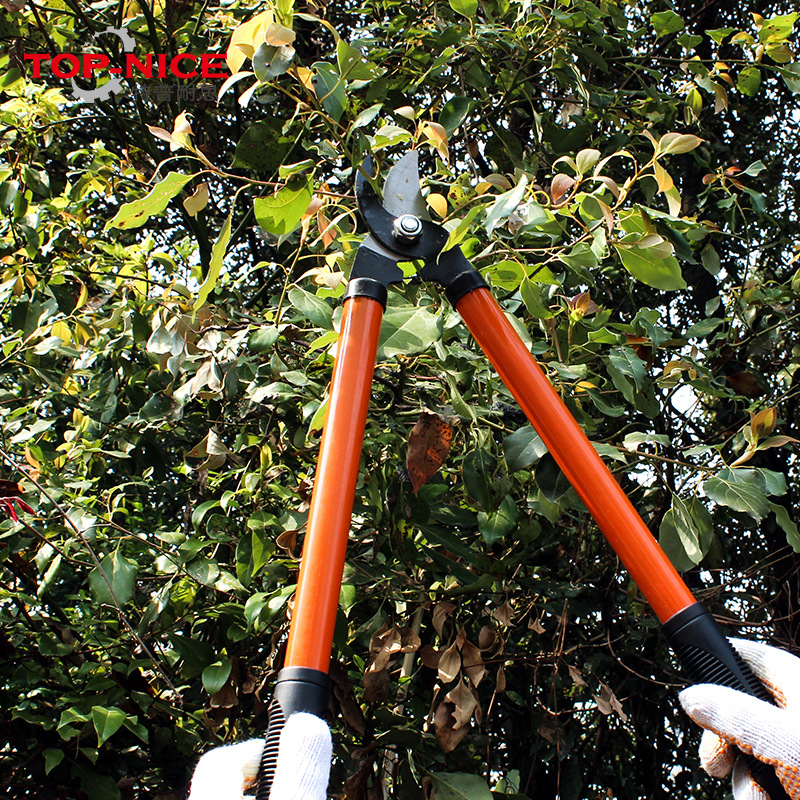 特普耐思厂家直销 高枝剪 树枝剪 加长型整枝剪 剪刀 园林剪