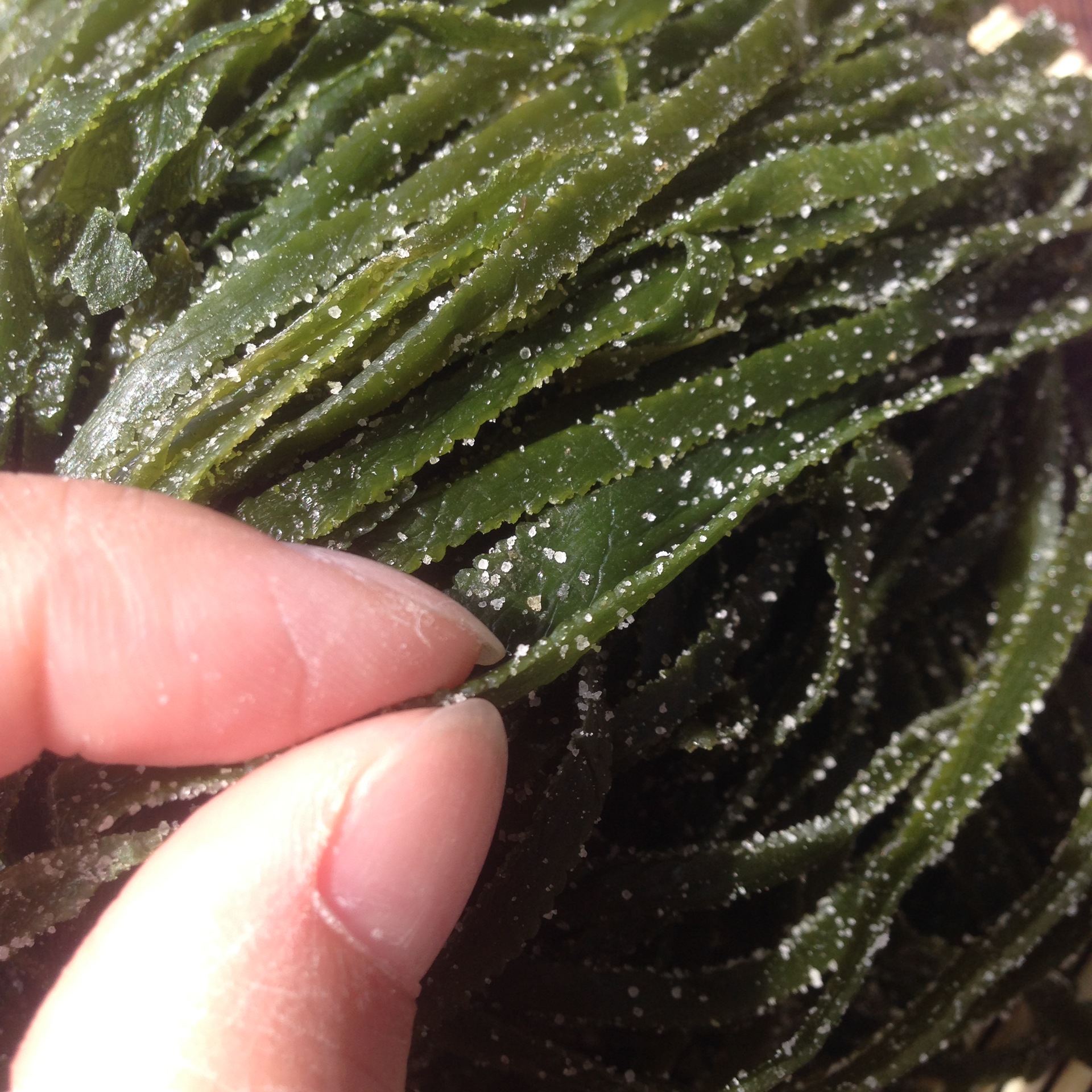 盐渍海带丝厂家3.0干丝高品质长丝干海带批发超市农贸市场高.