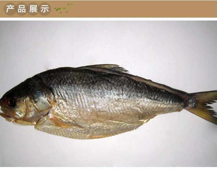 杨荣食品粗加工水产 顺德特产腌鱼美味三泥鱼干腌制风干大量批.