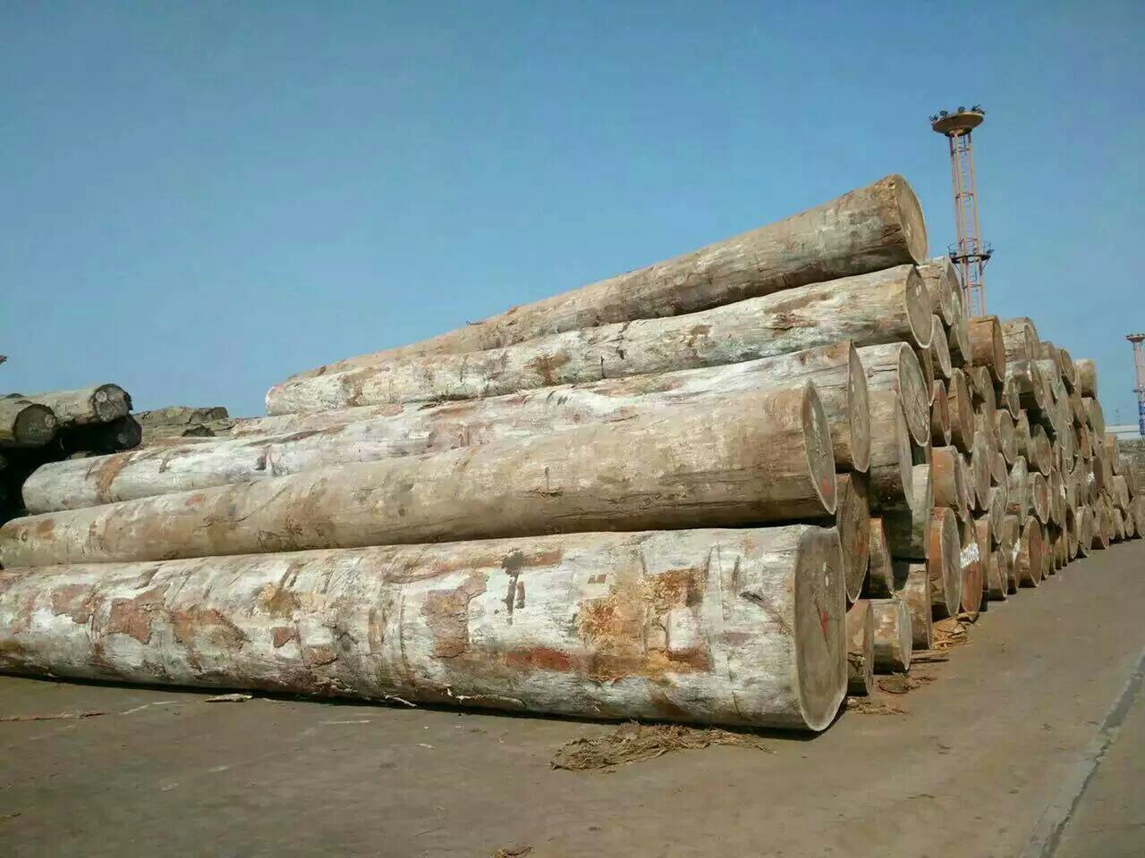 厂家供应刚果沙比利原木