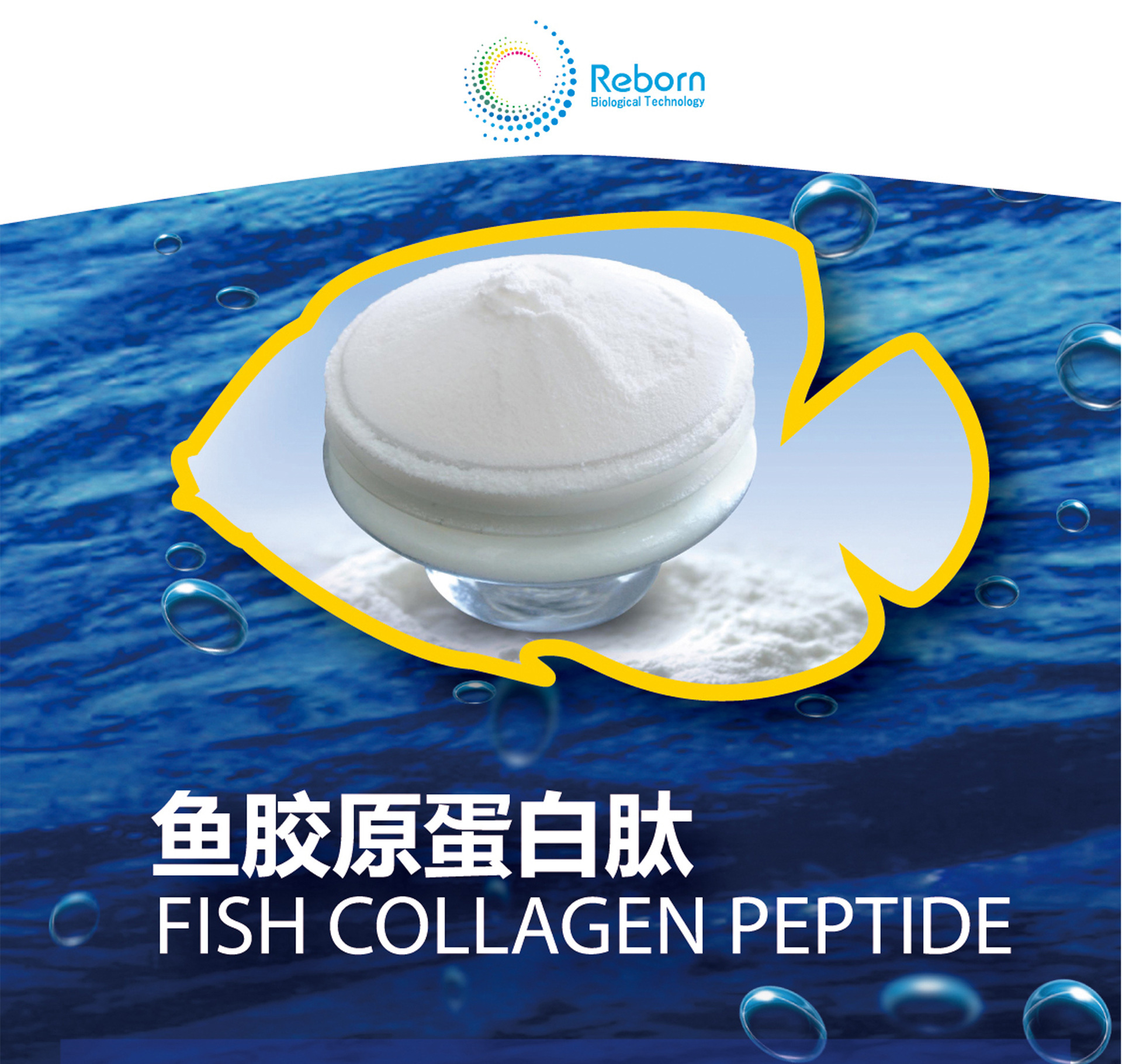 小分子胶原蛋白肽 鱼胶原蛋白肽粉 食品级深海鳕鱼胶原蛋白批发