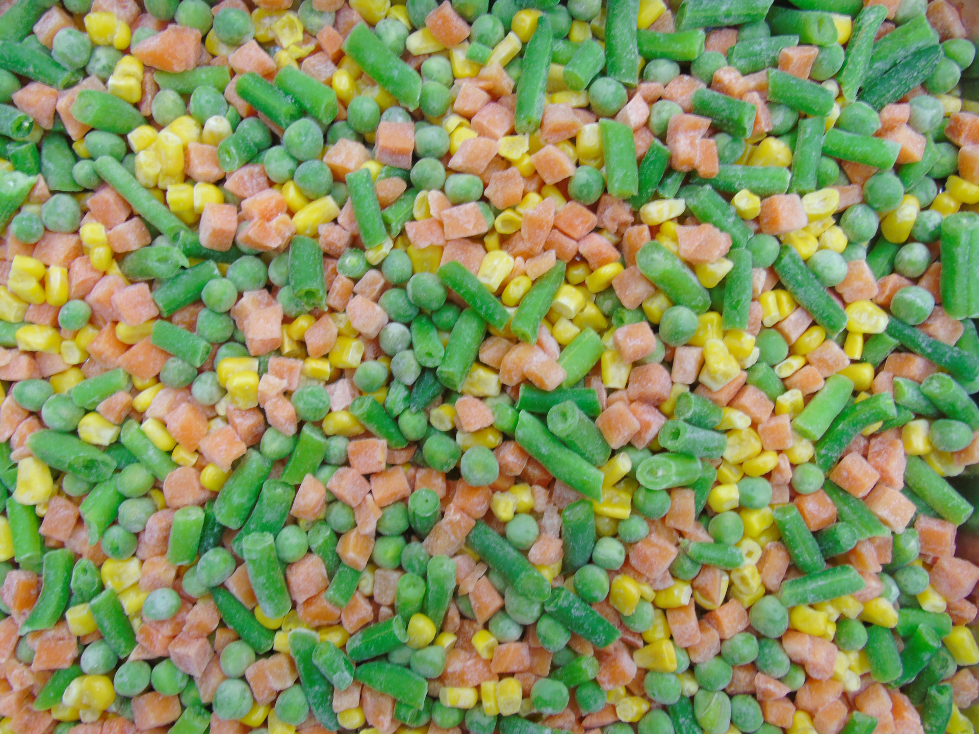 冷冻蔬菜-速冻混合蔬菜 1000g包装 蔬菜出口加工厂 优质出口速冻蔬菜-